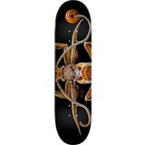 Powell Peralta LB Marion Flightless Moth #243 8.25inch Skateboard Deck