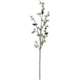 Europalms larch branch, PE, 100cm, lärkträ gren Konstgjord växt