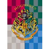 Filtar Harry Potter Hogwarts logotyp Filt