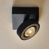 Paul Neuhaus Spotlights Paul Neuhaus Smart plafondspot donkergrijs met Spotlight