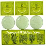 Geo F Trumper Hudrengöring Geo F Trumper Traditional Wild Fern Hand Soap Collection