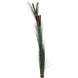 Europalms Reed grass with cattails,dark-green, artificial, 152cm