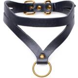 Master Series Bojor Master Series Bondage Baddie Collar With O-ring Black/Gold
