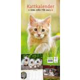 Kontorsmaterial Cat Calendar 2023