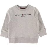 12-18M Sweatshirts Barnkläder Tommy Hilfiger Sweatshirt Essential Organic Gråmelerad (92) Sweatshirt