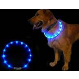 Led halsband LED-halsband hund blå