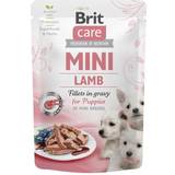 Brit Care Husdjur Brit Care Mini Puppy Lamm Sås