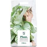 Planteringsjord Nelson Garden Blomjord Premium