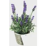 Järn Konstgjorda växter Dkd Home Decor Dekorativa blommor Lila Lavendel Cement Järn PE Konstgjord växt