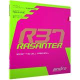 andro Rasanter R37