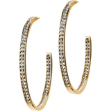 Edblad örhängen andorra Edblad Andorra Earrings Large - Gold/Transparent