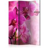 Rosa Rumsavdelare Arkiio Pink Orchid 135x172 Rumsavdelare