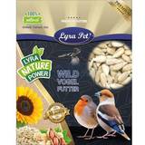 Fågel & Insekter - Magnesium Husdjur Lyra Pet Shelled Sunflower Seeds 10kg