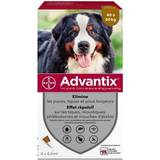 Advantix Husdjur Advantix Dog Parasite Solution Mycket stor ras