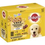 Pedigree Hundar - Hundfoder Husdjur Pedigree Junior Pouch Multipack gelé 96
