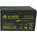 Robomow Batterier & Laddbart Robomow T-Robomow Battery (1 pcs)