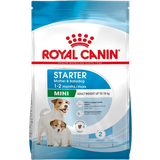 Royal Canin Hundar Husdjur Royal Canin Mini Starter 4kg