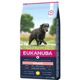 Hundar - Senior Husdjur Eukanuba Caring Senior Large Breed Chicken Dog Dry Food 15kg