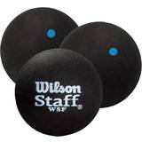 Wilson Staff Squash Ball Blue Dot, Squashbollar