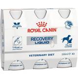 Royal canin gastro intestinal katt Royal Canin Recovery Liquid 3x200ml