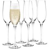 Holmegaard Glas Holmegaard Cabernet Champagneglas 29cl 6st