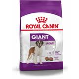 Royal Canin Kycklingar Husdjur Royal Canin Giant Adult 15kg