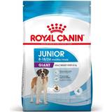 Giant (>45kg) - Hundar Husdjur Royal Canin Giant Junior 15kg