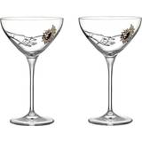 Sara Woodrow Champagneglas Kosta Boda All About You Coupe Champagneglas 32cl 2st