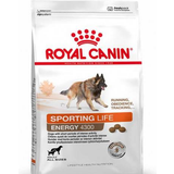 Royal Canin Hundar - Kycklingar Husdjur Royal Canin Sporting Life Trail 4300 15kg