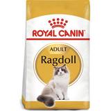 Royal Canin Katter - Koppar Husdjur Royal Canin Ragdoll 2kg