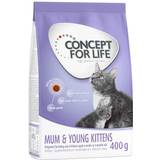 Concept for Life Katter Husdjur Concept for Life Mum & Young Kittens 400