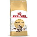Katter - Taurin Husdjur Royal Canin Maine Coon Adult 10kg