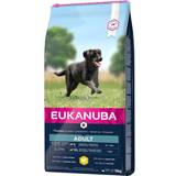 Omega-3 Husdjur Eukanuba Adult Large Breed 15kg
