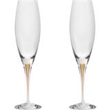 Orrefors champagne Orrefors Intermezzo Champagneglas 26cl 2st