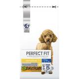 Perfect Fit Hundar Husdjur Perfect Fit Dry Dog Food Sensitive 1+