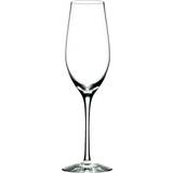 Glas Orrefors Merlot Champagneglas 33cl