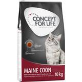 Concept for Life Katter Husdjur Concept for Life Maine Coon Adult Ragout