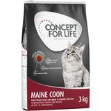 Concept for Life Husdjur Concept for Life Maine Coon förbättrad