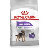 Royal Canin Hundar - Kalcium Husdjur Royal Canin Mini Sterilised 8kg