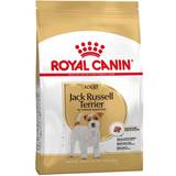 Husdjur Royal Canin Jack Russell Adult 1.5kg