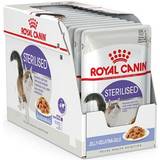 Royal Canin Katter - Våtfoder Husdjur Royal Canin Sterilized Jelly 12x85g