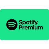 Spotify Premium 6 Months