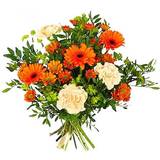Bupleurum (harörter) Snittblommor Blommor till begravning & kondoleanser Lush Blandade blommor