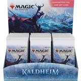 Magic the gathering booster Wizards of the Coast Magic the Gathering Kaldheim Set Booster Box