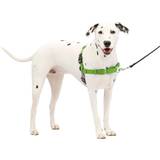 PetSafe Husdjur PetSafe Easy Walk Dog Harness, No Pull Dog Harness, Apple Green/Gray, Medium/Large