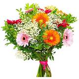Orange Snittblommor Blommor till begravning & kondoleanser Joyful Blandade blommor