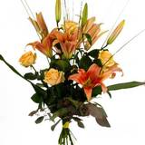 Orange Snittblommor Blommor till begravning & kondoleanser Glamor Blandade blommor
