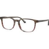 Bruna - Randig Glasögon & Läsglasögon Ray-Ban RX5418 8251 Havana L