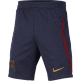 Nike Paris Saint-Germain Strike Dri-FIT Knit Football Shorts