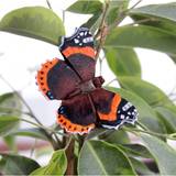 Orange Dekoration Wildlife Garden Magnet Fjäril Amiral Prydnadsfigur